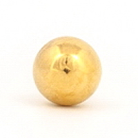 FJBG3 FJBG3