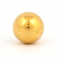 FJBG5 FJBG5